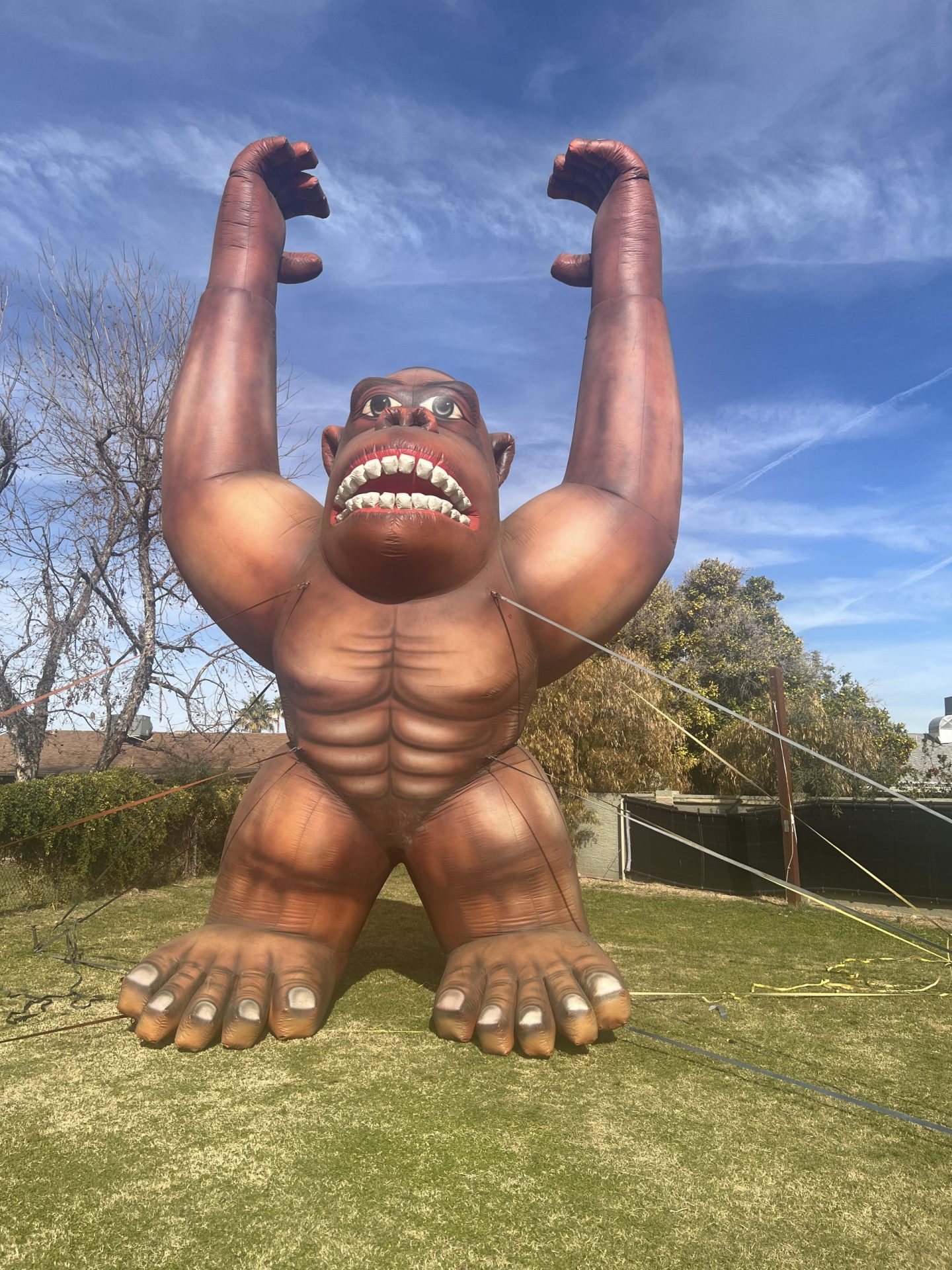 25 ft cold-air gorilla advertising inflatable